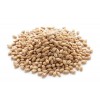 Grains Hulless Barley (1x25LB )