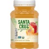 Santa Cruz Apricot Applesauce (12x23 Oz)